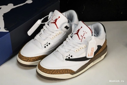 Travis 3 Jordan Air x “Palomino” Scott 0801